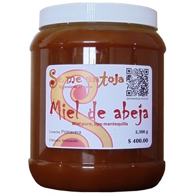 Miel pura tipo mantequilla 2300g